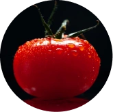 VisiFlora ingrediant